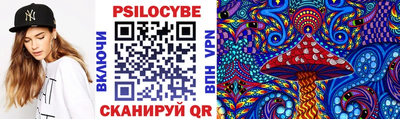 закладки  Вытегра  Псилоцибиновые грибы Magic Shrooms 
